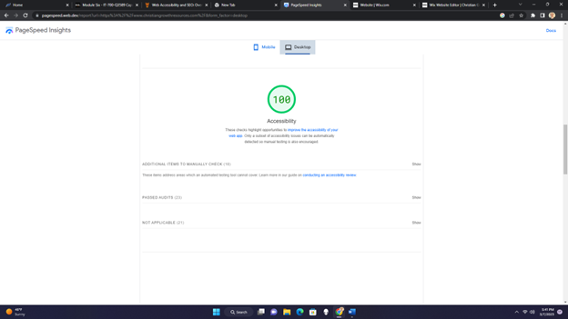 An example of an accessibility score for PageSpeed Insights for a desktop homepage with a 100 percent rating